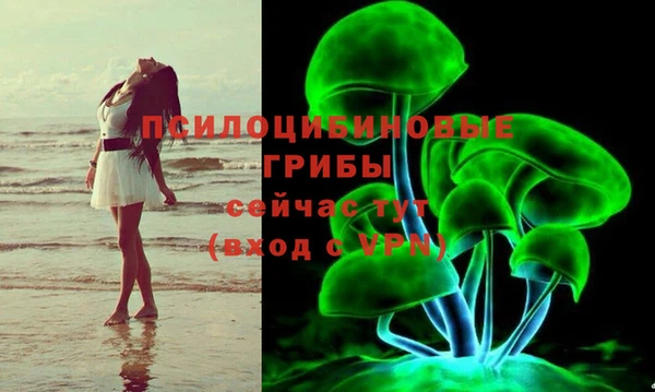 jwh Лиски
