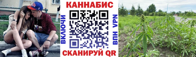 что такое   Емва  hydra ONION  Бошки марихуана AK-47 